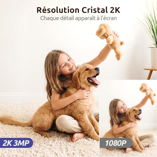 AOQEE 2K 3MP Indoor WiFi Surveillance Camera – 2.4G/5G Dual Band WiFi Surveillance Camera, 360° Intelligent Tracking, AI Human Detection, Compatible with Alexa for Baby/Cat/Dog (Pack of 3)