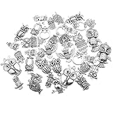 OWL Charm Collection-100g (About 48pcs) Craft Supplies Antique Silver Owl Charms Pendants for Crafting, Jewelry Findings Making Accessory for DIY Necklace Bracelet (Antique Silver owl Charms)