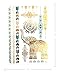 Terra Tattoos Gold Metallic Temporary Tattoos Waterproof Nontoxic Long Lasting Perfect for Beach, Festivals, & more (Free Spirit)