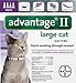 Advantage Once-A-Month Topical Flea Treatment for Cats Over 9 Lbs (4 Applications)