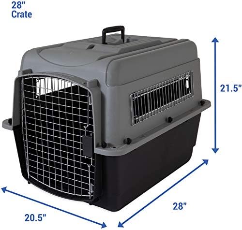 cat transport box