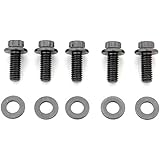 ARP 642-1750 Black Oxide 12-Point Bolts - 3/8-16 Thread 1.750 Length (Set Of 5)