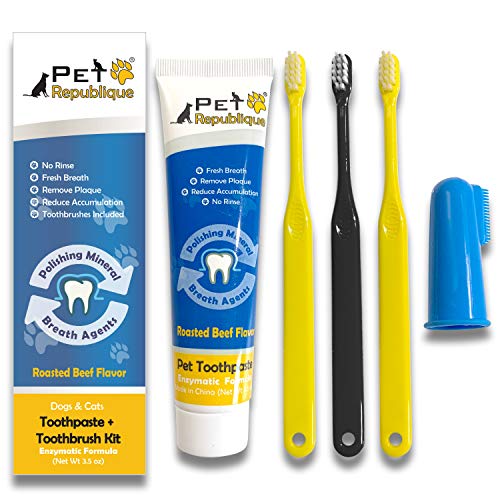 Pet Republique Enzymatic Dog Toothpaste Kit with Handle Toothbrushes Cats and Dogs Dental Cleaning Kit - 3.5 oz Beef Flavor Toothpaste, 3 Mini Handle Toothbrushes, 1 Silicon Finger Toothbrush