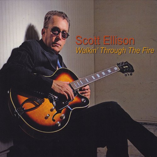 Scott Ellison - Blues Rock Drive 2 - Zortam Music