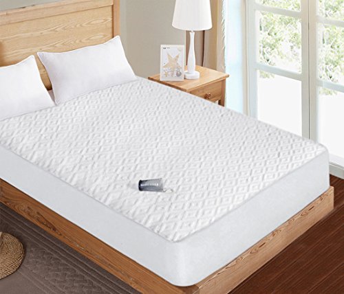 image for 100% Waterproof Mattress Protector --- Hypoallergenic Encasement Dust 