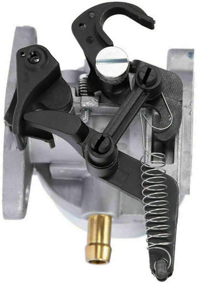 DKIIGAME Carburetor for Troy bilt Pressure washer7.75 Hp 8.75 Hp 8.5Hp 190CC, Replaces Briggs and Stratton 2700 3100PSI 796608 591137 590948 594287 799248 : Garden & Outdoor