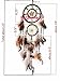 Dream Catcher with Feathers Hanging