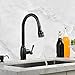 Comllen Best Antique Pull Out Sprayer Oil Rubbed Bronze Single Handle Pull Down Kitchen Sink Faucet, Single Lever Kitchen Faucet Without Deck Plate