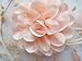 Fascinators Hats for Womens 50s Headwear with Veil Flower Cocktail Wedding Tea Party Church Derby Hat(1A-Peach)