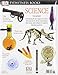 DK Eyewitness Books: Science: Discover the Story of Science and How it Shaped Our Understanding of the World