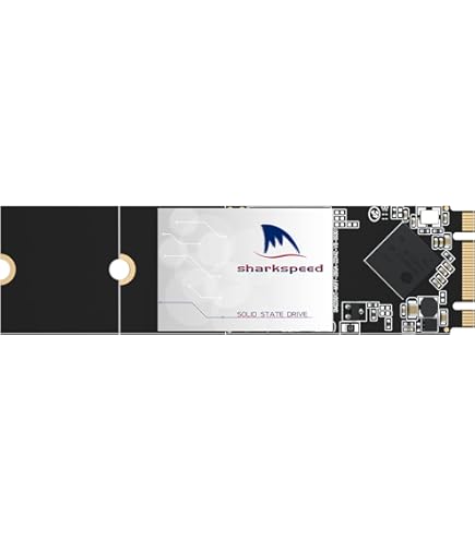 Amazon.com: Kingshark gamer Msata SSD 128GB Sata3 SataⅢ Internal