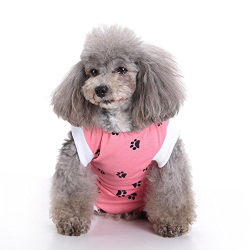 Top surgical onesie for dogs for 2019