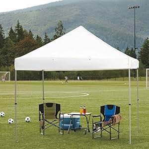 Amazon.com: ProShade Professional-Grade 10' x 10' Instant ...