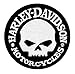 Harley-Davidson Hubcap Skull Small Patch, 4'' W x 4'' H EM1029882