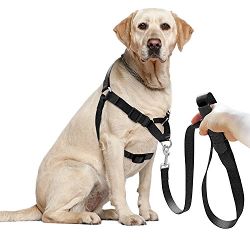 Compare price to easy lead dog harness