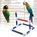 Jimfoty Bird Parrot Perch, Bird Cage Parakeet Stand Perch Rack Parrot Playstand Bird Play Center Tray Training Toy Pet Accessories(PVC)thumb 1