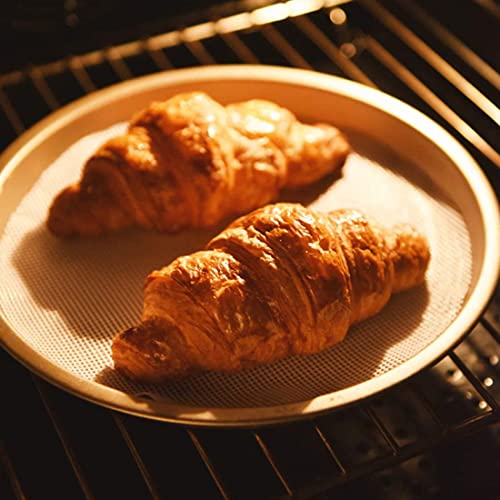 Silicone Steamer Liners Dehydrator Sheets, Famolay 6Pcs Bamboo Steamer Liner 10 Inch Fruit