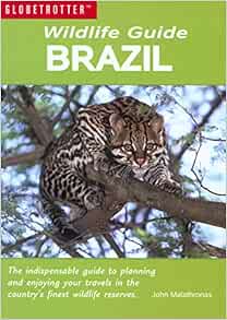 Eating animals should we stop image