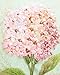 Cozy Hut Ribbon Embroidery Kit Handmade Flower Design for Beginner DIY Wall Decor Pink (No Frame)