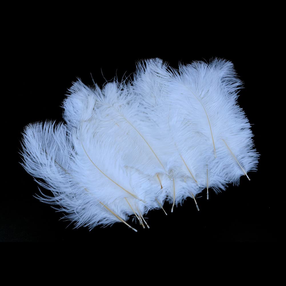 Alnicov 20Pcs Natural Ostrich Feathers 15cm-20cm DIY Plume Feather for Home Wedding Party Table Decoration (White)