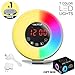 GoLIFEuP Wake Up Light Alarm Clock with Touch LED Display, Sunset and Sunrise Simulation, with 6 Natural Sounds, FM Radio and USB Charger - Perfect for Gift for Heavy Sleepers