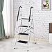 Giantex 2 in 1 Non-slip Step Ladder Folding Stool w/Anti-Slip Handrails Grip and Additional Metal Bars 4 Step Ladder for Home and Office Use 62.5''H