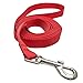 10 Feet Dog Leash Nylon Training Leash Dog Traction Rope Red Dog Leashes for Small Dogs, Great for Dog Training, Play, Camping or Backyard.