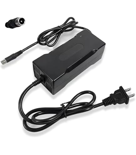 Original Dual-Head Charger For Segway Ninebot Drift W1 Electric Roller Skates - 25V 1.5A