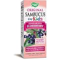 Nature's Way Original Sambucus for Kids - Standardized Elderberry - 4 fl oz