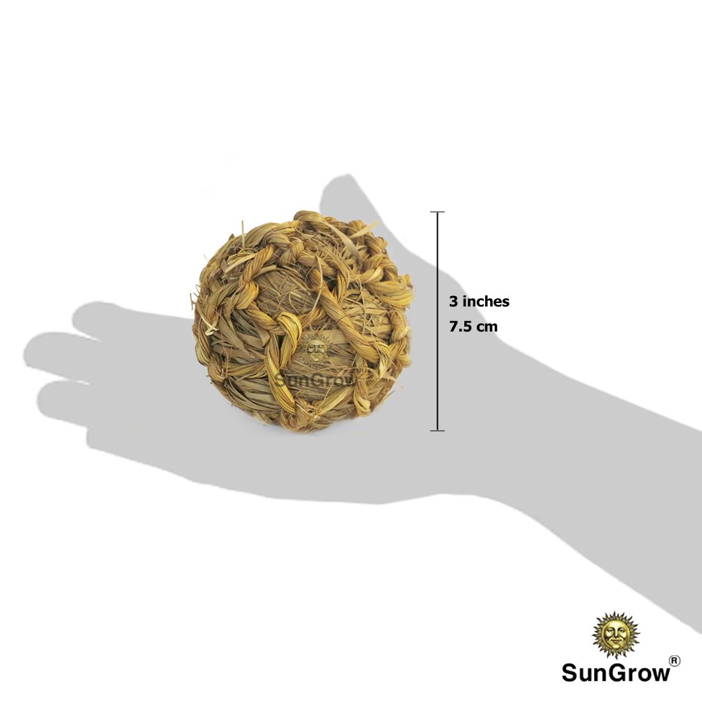 SunGrow Natural Seagrass Ball - Perfect & Safe Chewable Teething Toy for Rabbits, Cats, Hamsters, Gerbils & Birds : Healthy for Your Pet’s Gums & Teeth