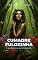 Livro Cumadre Fulozinha: O Sussurro da Mata Proibida
