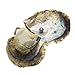 Nameo 5 Pcs Akoya Oysters with Round Cultured Pearls Inside (7-8mm)