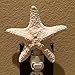 PEPPERLONELY Off White Jungle Starfish Night Light Night Light Nautical Natural Seashell Beach Home Décor