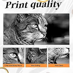 C5100 Toner Cartridge Extra High Yield Replacement