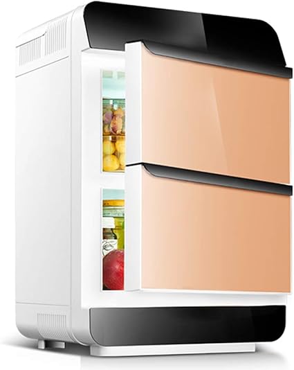 best car refrigerator