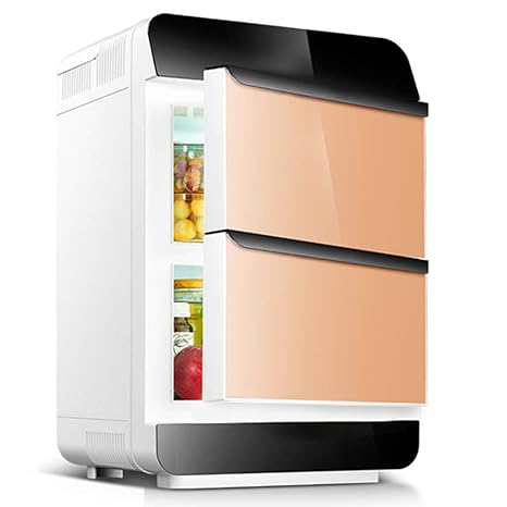 LUCKFY Refrigerador portátil de 25L, refrigerador de Dos Puertas ...