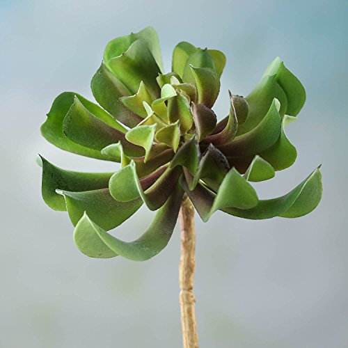 Pair of Unique Looking Succulent Picks for Fairy Gardens, Crafting, and Embellishing