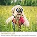 Kids Adventure Kit - Outdoor Exploration Kit, Educational Outdoor Explorer Kit for Kids, Binoculars, Flashlight, Compass, Magnifying Glass, Best Gifts For Birthday, Camping, Toys For 4-5 year old Boys