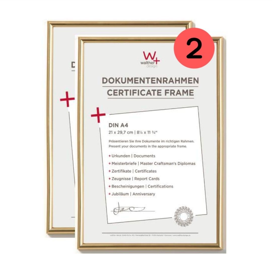 walther Design Picture Frame Gold 21 x 29,7 cm (DIN A4) Twin Pack, Galeria Plastic Frame KG130HD