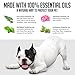 Get Off Natural Flea Collar For Dogs (8 Months) Flea And Tick Prevention - With Essential Oil Plant Extracts - Hypoallergenic One Size Fits All Dog
