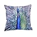 JML Couch Peacock Throw Pillow Case, Micro Fleece Decorative Pillow Cover 18