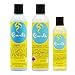 Curls Blueberry Bliss Reparative Hair Wash & Leave-In Conditioner 8oz & Hair Oil 4oz "Set"