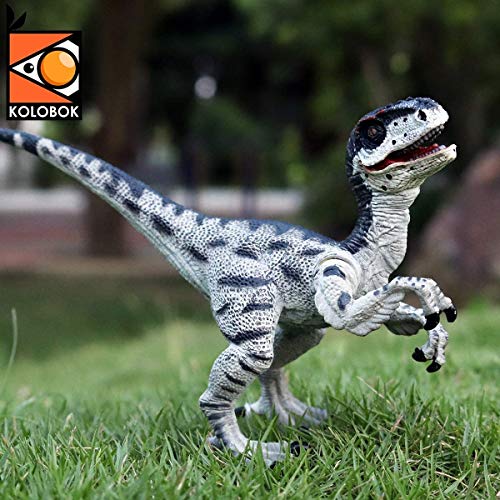 predator blanco y negro