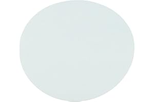 Omicron 170047R Nylon Membrane Filters, 0.2 μm, 47 mm (Pack of 100)