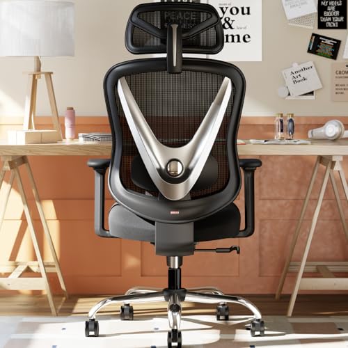 HOLLUDLE Ergonomic Office Chair with 3D Lumbar Support and Adjustable 3D Armrests - V Shape Design, Comfortable Desk Chair for Office and Home, Black