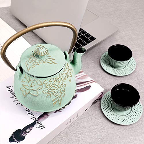 Cast Iron Teapot,Tea kettle cast iron,Tea pot with infusers for loose