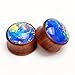 KUBOOZ Sea Shell Center Wooden Ear Plugs Tunnels Gauges Stretcher Piercings Jewelry