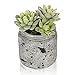 MyGift 4.7-Inch Realistic Artificial Green Succulent Plant Arrangement in Vintage Distressed Gray Ceramic Jar Pot