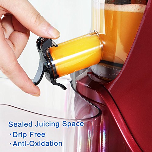 SKG Wide Chute AntiOxidation Slow Masticating Juicer (240W AC Motor
