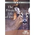 Nature: Private Life of Deer